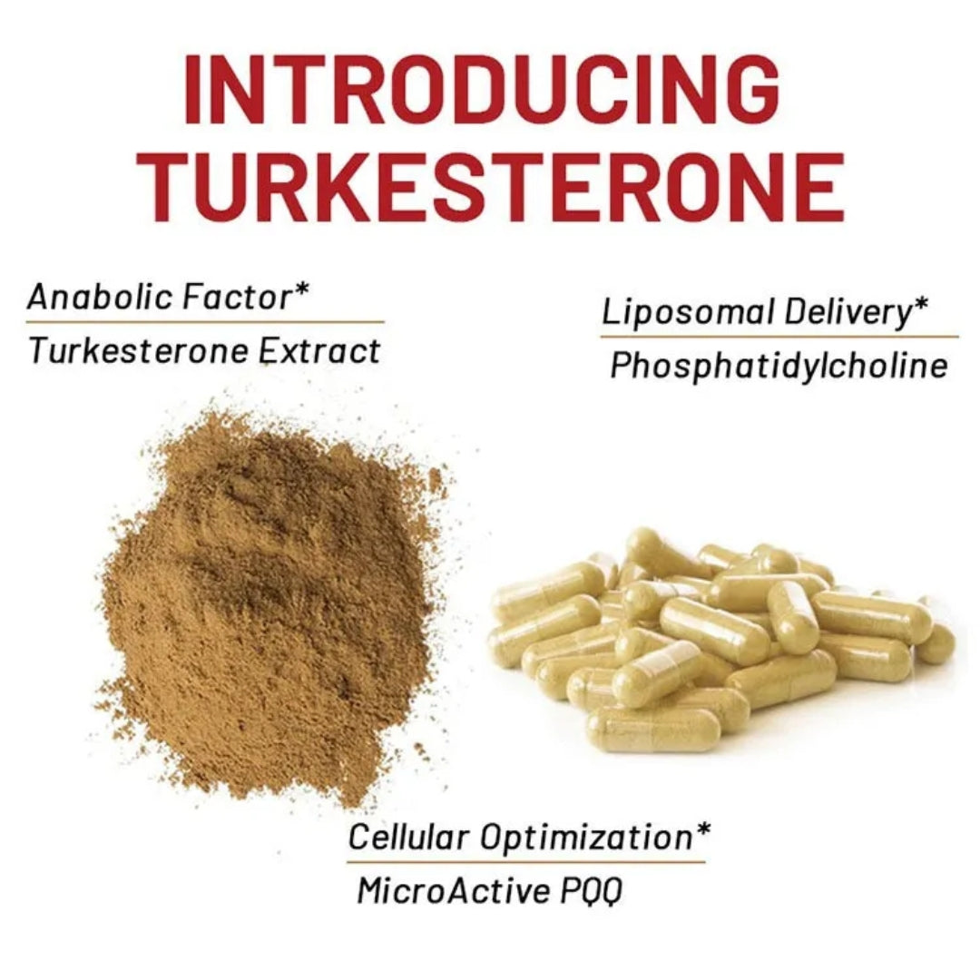 Turkesteron 500mg Ajuga Turkestanica Extrakt 60 Kapseln Turkesterone Muskelaufbau Anabol Pflanzlich Steroid