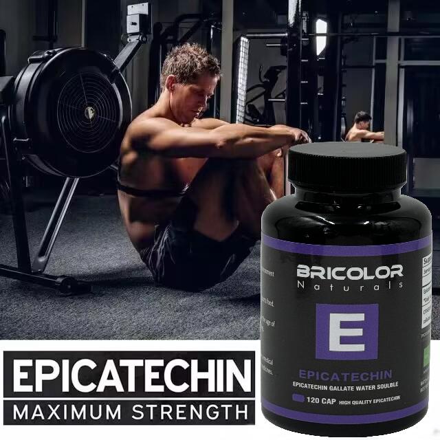 Epicatechin 150mg Kapseln Myostatin Blocker Inhibitor Myostatin-Inhibitor